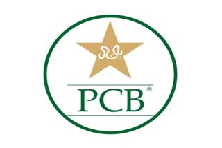 PCB logo