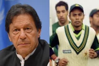 Danish Kaneria  Imran Khan  Pakistan  Shoaib Akhtar  ഡാനിഷ് കനേറിയ വാർത്ത  ഇംമ്രാന്‍ ഖാന്‍ വാർത്ത  പാകിസ്ഥാന്‍ വാർത്ത  അക്തർ വാർത്ത