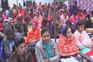 employment fair organized in hisar