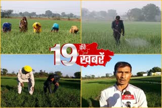 2019 year of farmers lost due to lack of government help