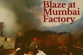 Fire breaks out at Mumbai godown