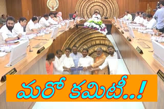 జనవరి మూడో తేదీ తర్వాతే రాజధానిపై తుది నిర్ణయం