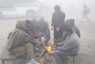 cold wave in punjab