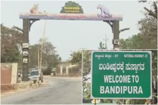 Chamarajanagar: Bandipura residence is not available during year end