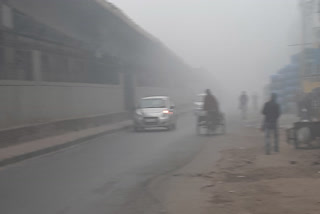 cold in delhi