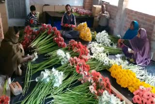 alok kumar cultivating foreign crops in nalanda