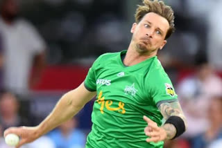 big bash league 2019 20 : melbourne stars vs adelaide strikers match dale steyn made a comeback after going for 6 6 4 4