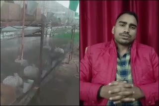 rabbit farming by adopting Pradhan Mantri Mudra Yojana