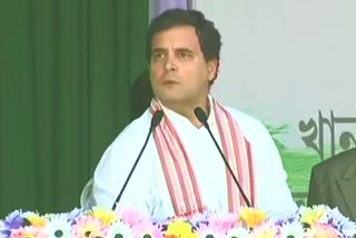 rahul gandhi in assam