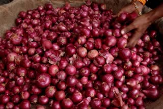 onion market