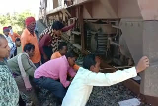 Two cattle killed due to train hit in Balaghat
