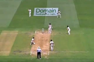 ball disappear in australia vs new zealand test match, watch video