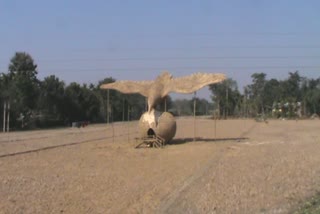 RAHA BHOGALI BIHU