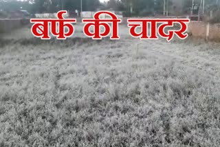 Cold rising due to temperature falling in Chilfi valley of kawardha