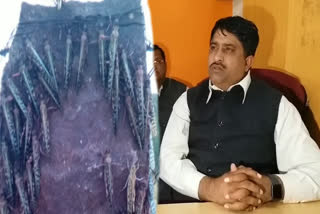 राजस्थान में टिड्डी दल का आतंक,  Locust party terror in Rajasthan, tiddi dal, टिड्डी दल, जैसलमेर न्यूज, jaisalmer latest news, मंत्री सालेह मोहम्मद