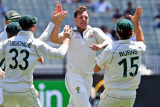 Boxing Day Test: Australia WIN New Zealand by 247 runs, seal series