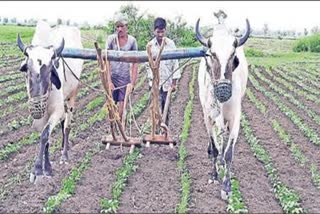 Pension Scheme for farmers