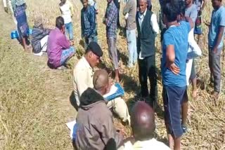 Dead body of a 6-month-old newborn found in the field in jashpur