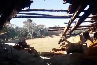 Terror of Wild elephant in ranchi
