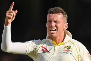 peter siddle