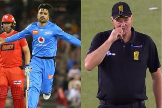 Umpire's Funny Gesture On Rashid Khan's LBW Appeal Leaves Everyone In Splits