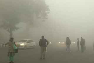 20 flights diverted, 4 cancelled due to dense fog at Delhi airport