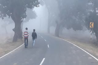 Cold fog increased once again in balaghat