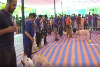 Dog and Cat show in malnad Shimoga