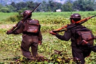 Naxalite shoots an elderly man suspected of whistleblowing