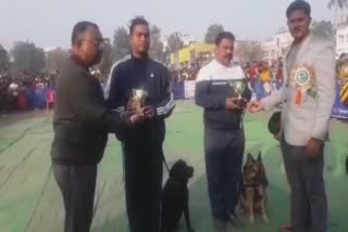 dog show at Raigunj