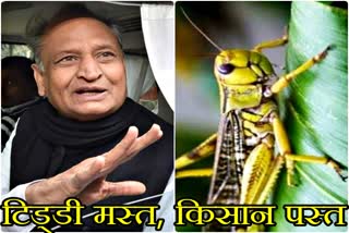 Chief Minister Ashok Gehlot, Ashok gehlot, अशोक गहलोत