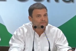 Rahul urges Cong leaders to meet, assist families of those killed, injured in anti-CAA protests