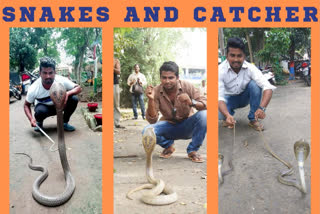 An youngster's mission to save the snakes in Andhra Pradesh