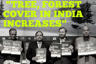 Forest cover has risen by over 5,000 sq. km; confident to meet Paris goals: Javadekar