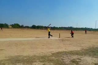 क्रिकेट प्रतियोगिता का आगाज, Cricket competition organised