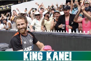 Kane Willamson, AUSvsNZ