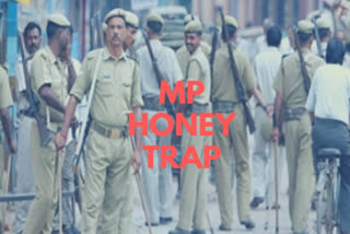 MP honeytrap