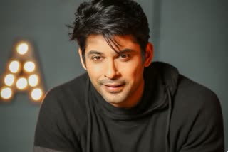 sidharth claims rashami talked him till goa