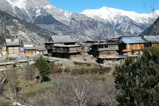 home to needy people in kinnaur