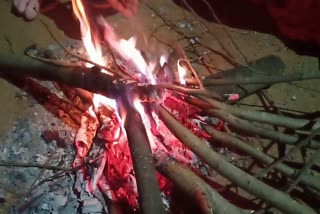 Locals are unable to get firewood to escape the cold in sarguja