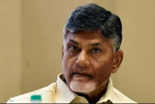 chandrababu about pawan capital tour