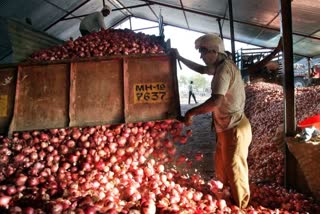 government to create 1 lakh tons of onion buffer stock in 2020