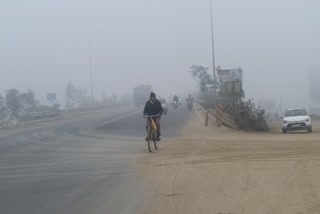 cold in vaishali