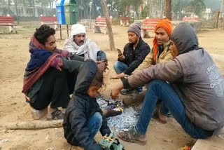 cold-is-causing-inconvenience-to-the-people-of-sheopur