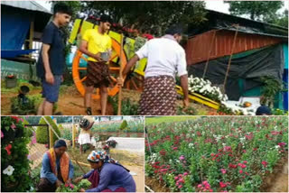 പൂപ്പൊലി അന്താരാഷ്ട്ര പുഷ്പമേള  വയനാട്  ടുലിപ്  മാരിഗോൾഡ്  ഗ്ലാഡിയോലസ്  റോസ്  കാർഷിക സർവകലാശാല  പുഷ്പോത്സവം  wayand news  flower featival  marigold  rose festival  wayand news