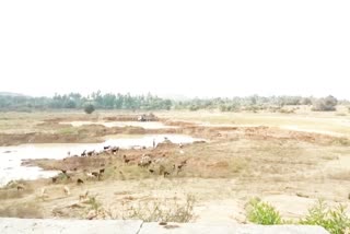 Illegal Soil Trafficking in Machahalli  Lake