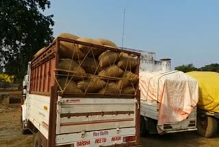 48 thousand quintal illegal paddy seized in Raigarh