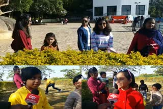 crowd of tourists at the picnic spot