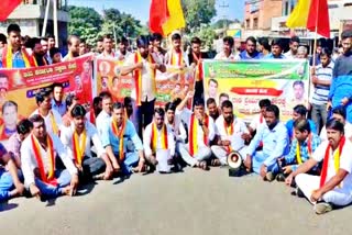 shivasene strike against karnataka and maharastra border issue