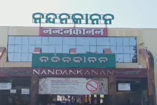 nandankanan